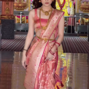 Organza Saree – Lightweight, Embroidered Border